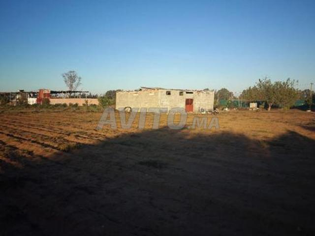 Ferme 2ha Arjat salé