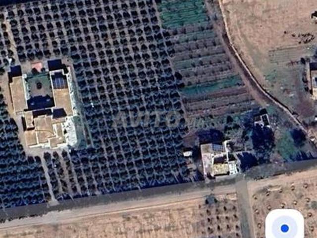 Ferme 3 hectares proche technopole