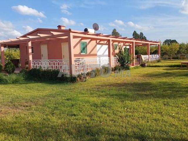 Ferme titre 45000m2 tiflet ait wahhi