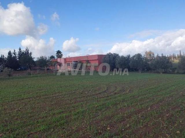 Ferme titre 7ha Kamouni Ait Malek