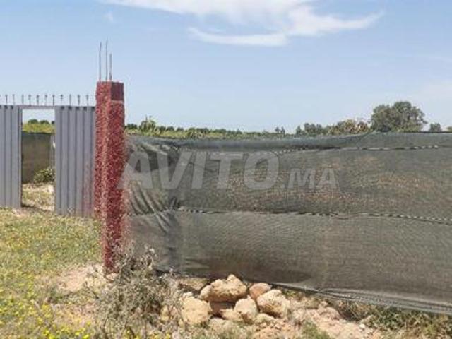 Ferme titre 11800m2 Kamouni