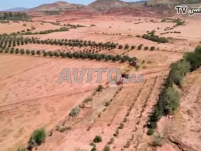 Ferme titré, 1.8 h sidi atmane khénifra