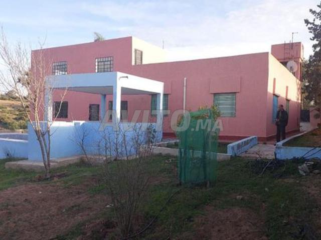 Ferme titre 2ha arjat salé
