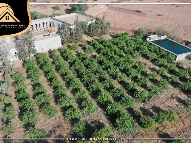 Ferme titré à Route Fès km 22, puit 117 m système goutte à goutte, Marrakech: à vendre