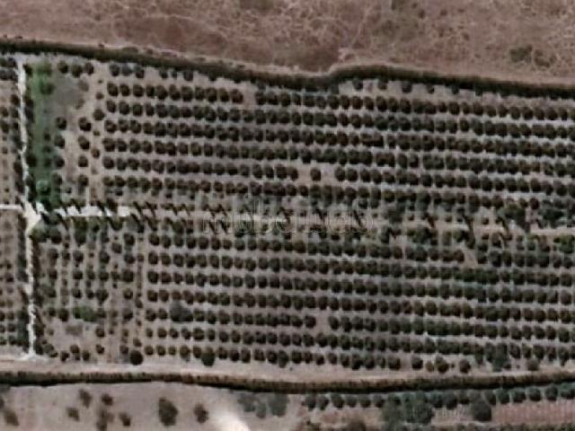 Ferme titrée 3,4ha, route Marrakech Cascades d'Ouzoud
