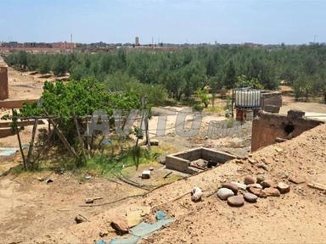 Ferme titrée à 15 km de marrakech