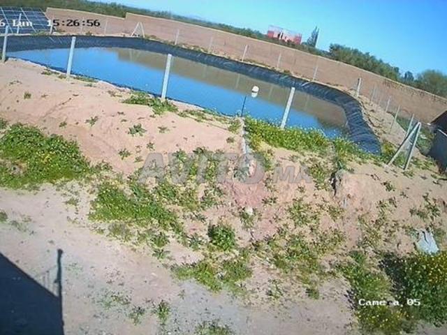 Ferme Titrée à vendre à Loudaya