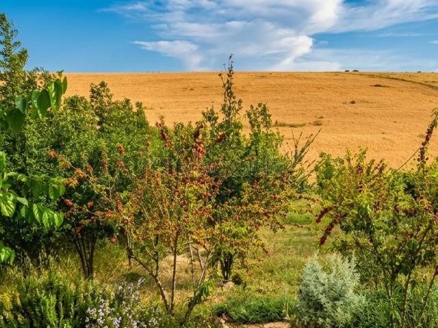 Ferme titrée à vendre région Rabat Salé