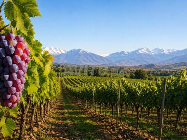 Ferme titrée viabilisée à vendre