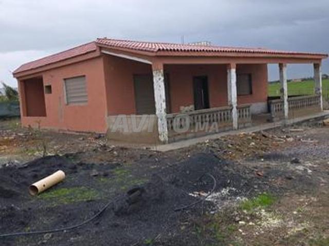 Ferme à Benslimane 6000 m2 titrée