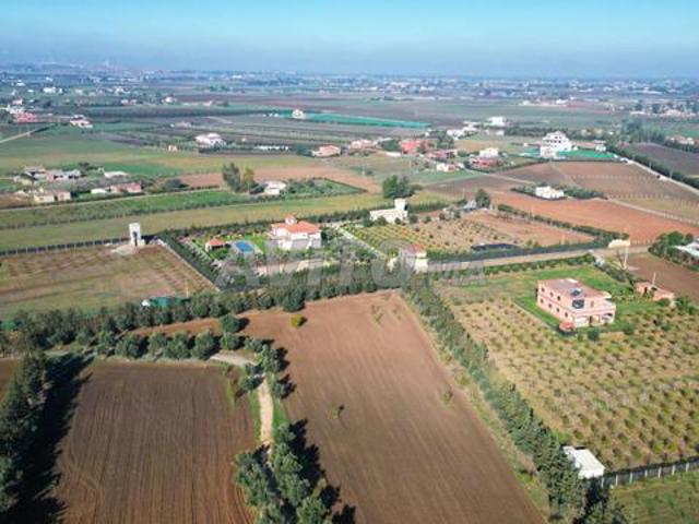 Ferme à Benslimane