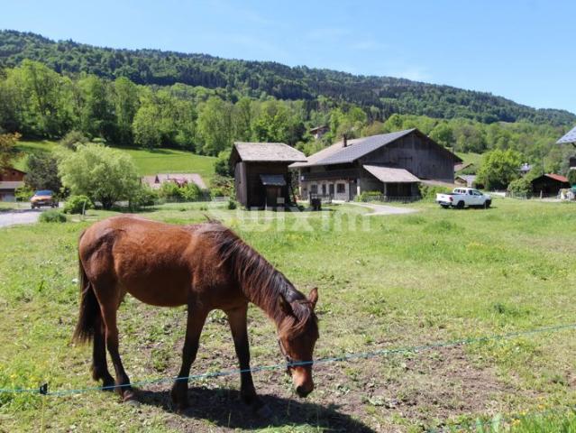 Ferme 350 m² sur terrain 2 439 m² proche Samoëns