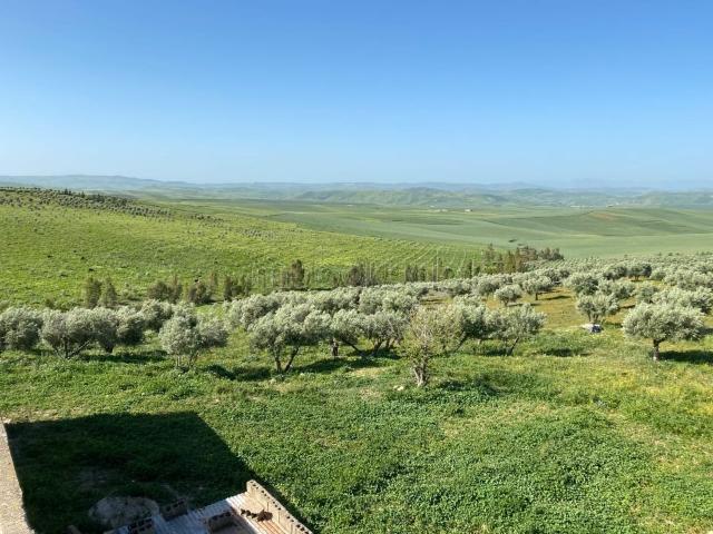 Ferme à la vente à Oulad Hcine. Surface de 160000 m²