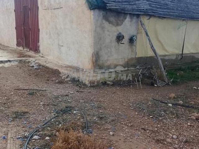 Ferme à vendre