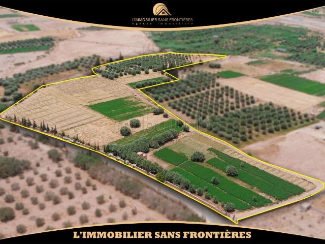 Ferme à vendre — 4 Hectare Souihla, Marrakech