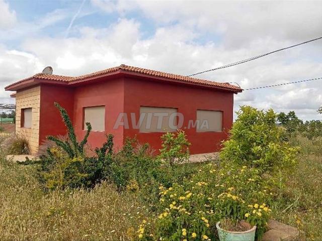Ferme à vendre 4 hectares Sla Es Sahli