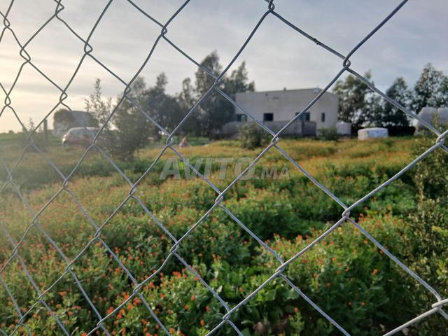 Ferme à vendre