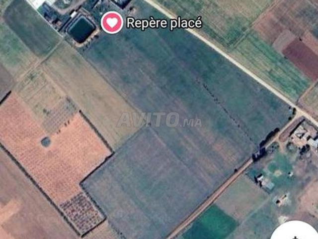 Ferme à vendre 6,6 ha