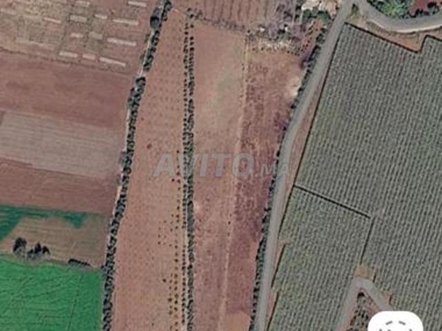Ferme à vendre à Ait Walal Bitit