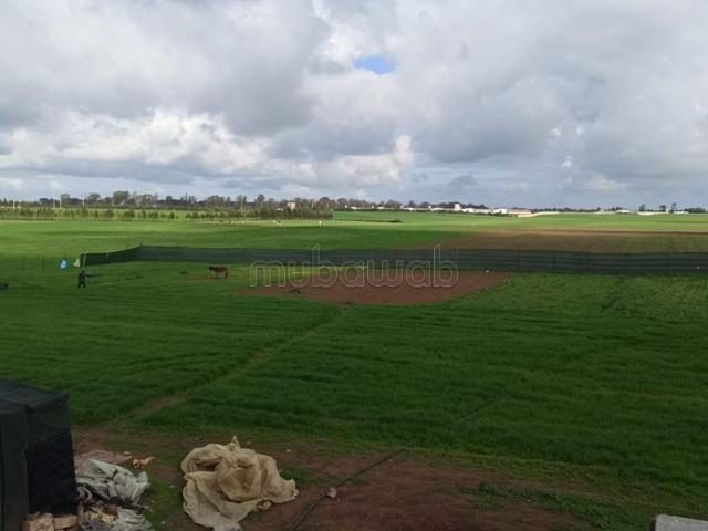 Ferme a vendre a bir jdid