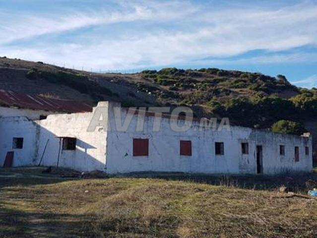 Ferme à vendre à Khamis Anjra