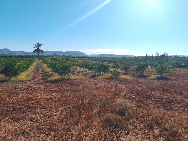 Ferme à vendre à Zaïo. Surface totale 63500 m²