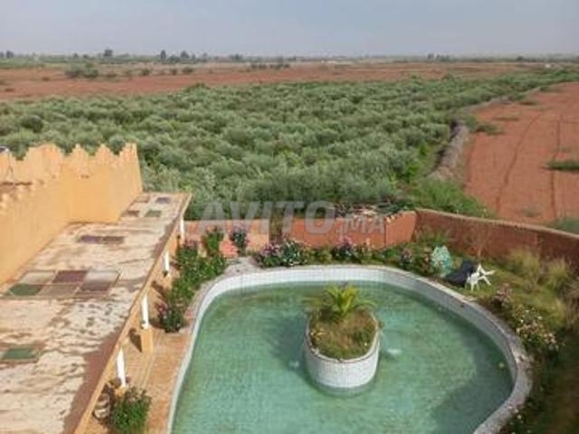 Ferme à vendre فيرما للبيع سيدي عبد الله غيات