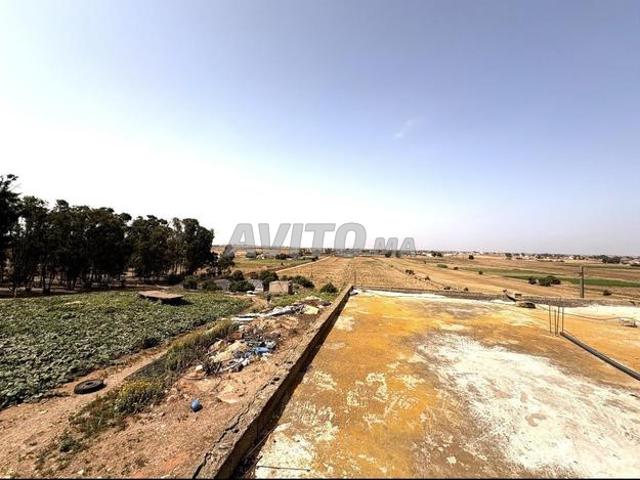 Ferme à vendre Had Soualem 49000m2