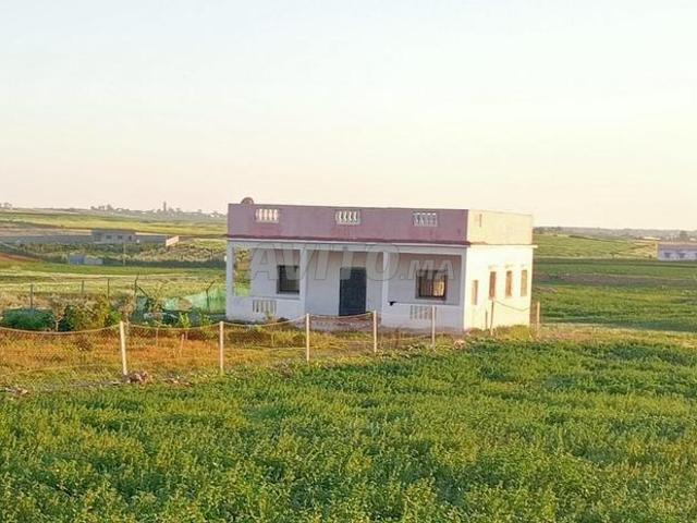 Ferme à vendre près d'El Jadida 2000m² à 440000 MAD