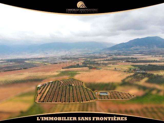Ferme à vendre sur la route d’Amizmiz Km 48, Marrakech — 39363 m²