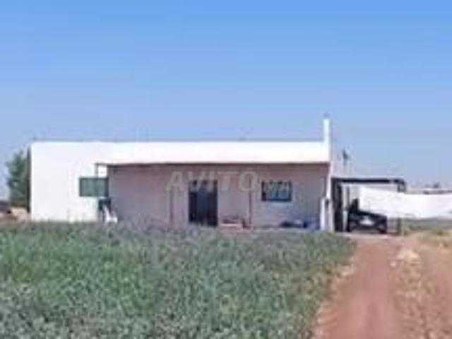 Ferme à 15 km de Berrechid
