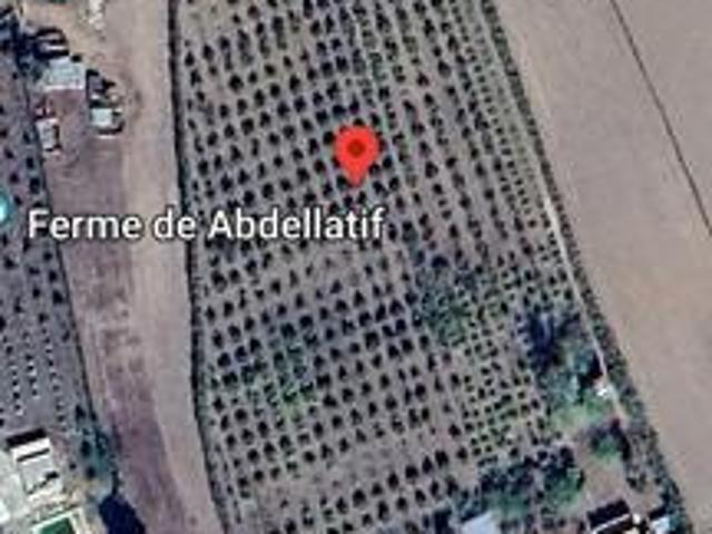Ferme agricole titre