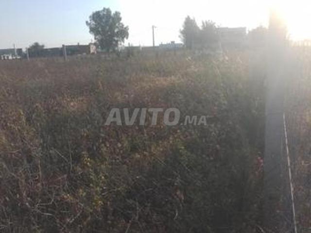 3000m² agricole titrée à 8 km de Tiflet
