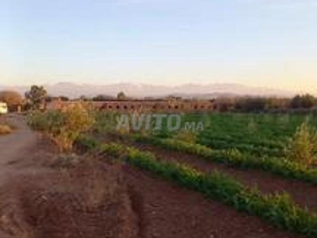 Ferme agricole à vendre 5 hectares à Tameslohte