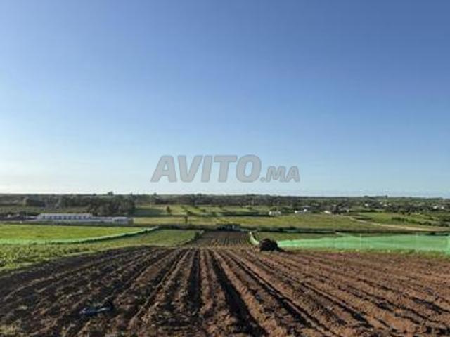 Ferme agricole à vendre