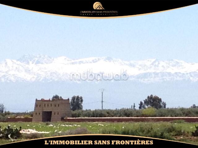 Ferme agricole à vendre — 3 hectares 5700m² Route de Fes Km 25, Marrakech