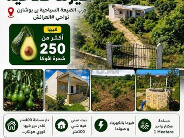 Ferme agricole à vendre à Larache