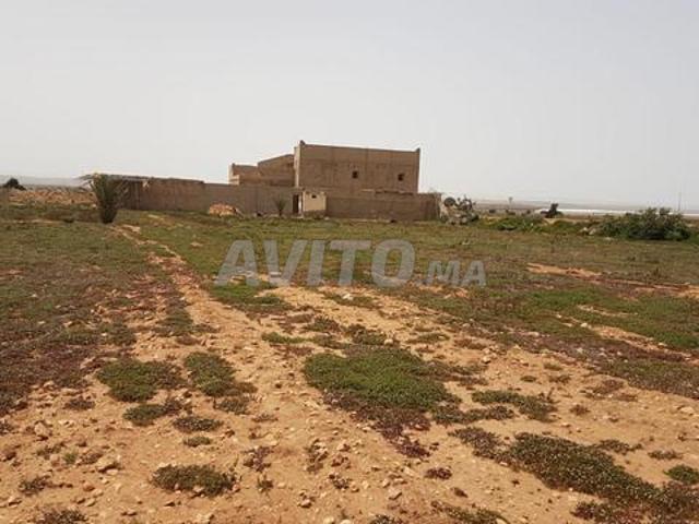 Ferme agricole à vendre à Sidi Abbo Massa