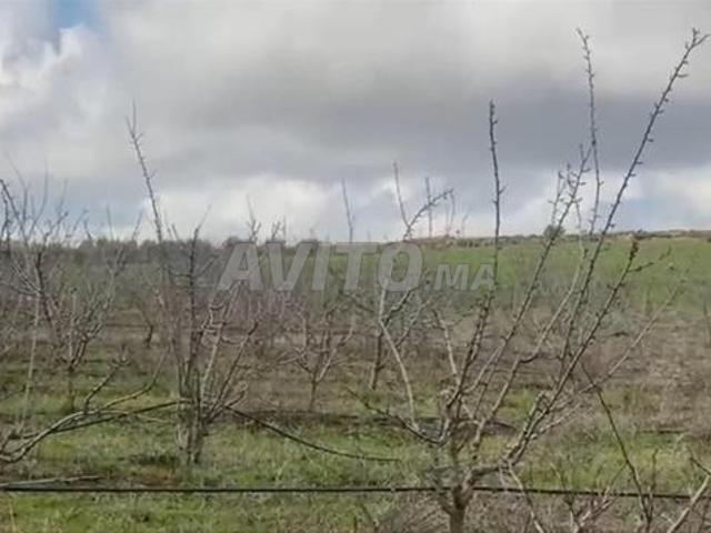 Ferme agricole à vendre excellente