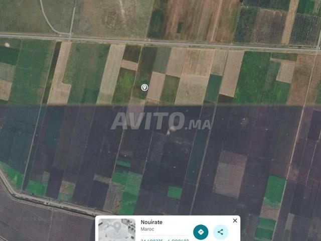 Ferme Agricole de 5 hectares à vendre