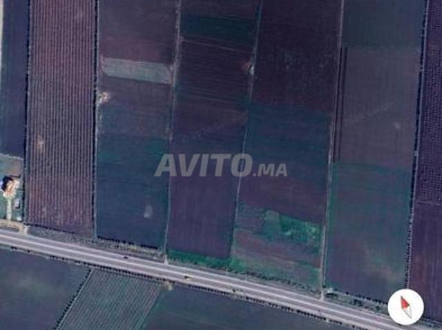 Ferme agricole de 8 hectares sur la route principale