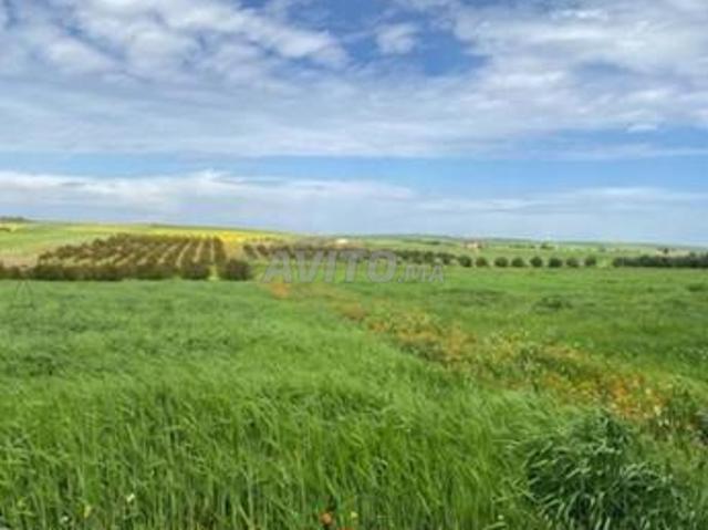 Ferme agricole entièrement équipée