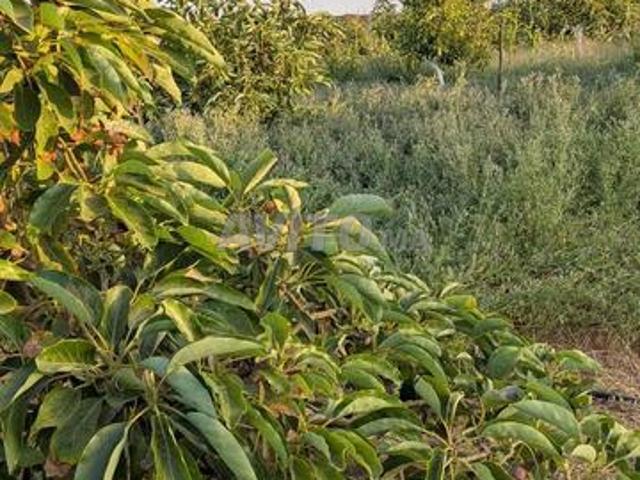 Ferme agricole équipée et titrée près de la ville de Tiflet