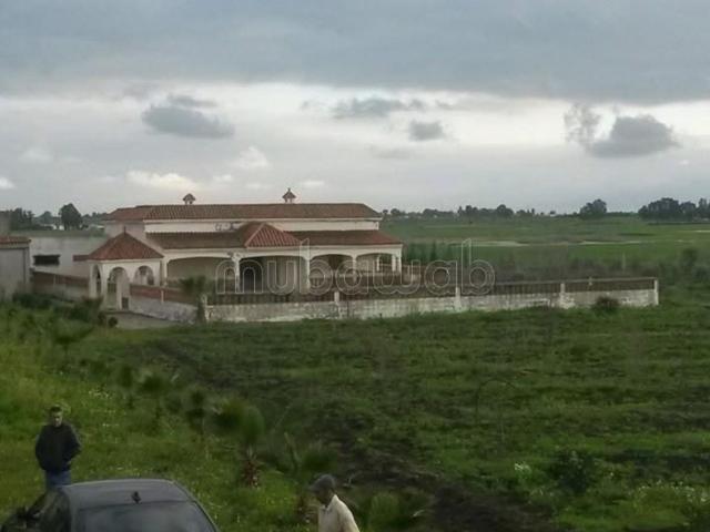 Ferme agricole exceptionnelle à Benslimane