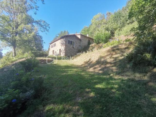 Ferme ardéchoise en pierres avec vue panoramique et châtaigneraie centenaire