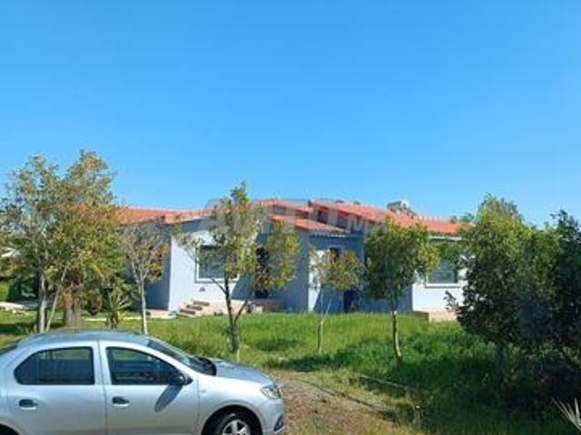 Ferme avec villa à vendre Benslimane