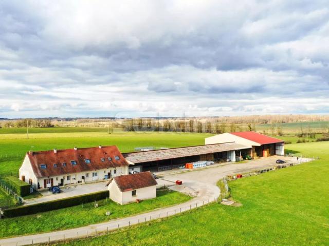 Ferme dans le Jura avec 65 hectares