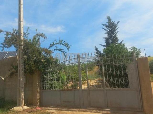 Ferme de 5 hectares à El Haj Kaddour 3amra