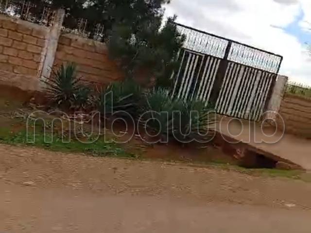Ferme de 9.5 hektar titré à ouled said