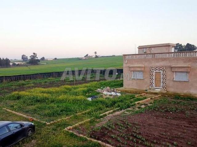 Ferme de 3283 m² à Tnine Chtouka Azemmour